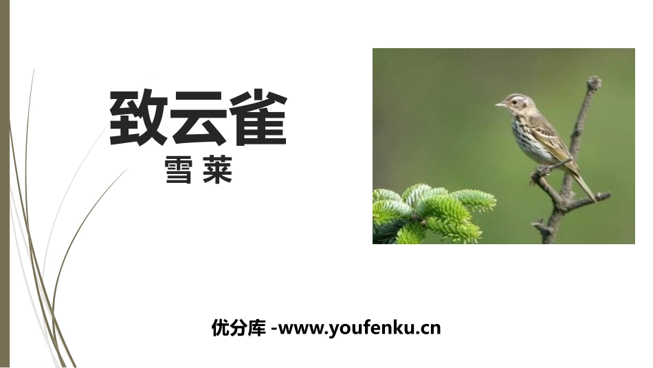 《致云雀》PPT课件[统编版高中语文必修一]_第1页