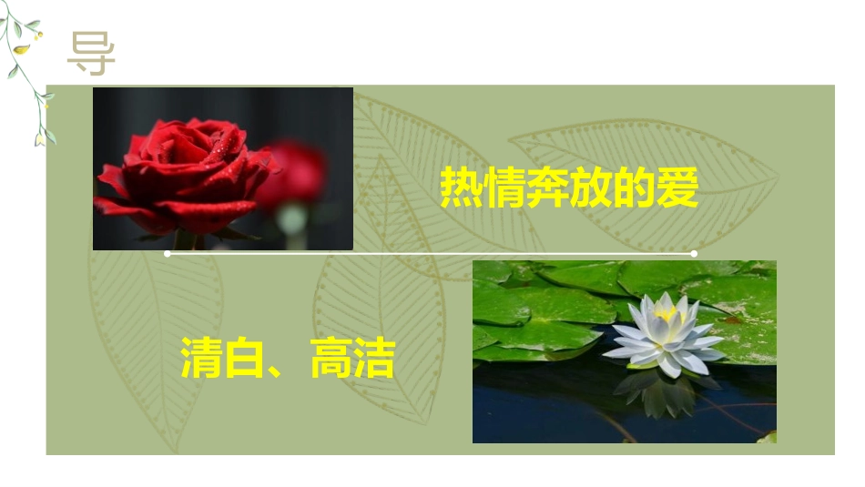 《百合花》PPT教学课件[统编版高中语文必修一]_第2页