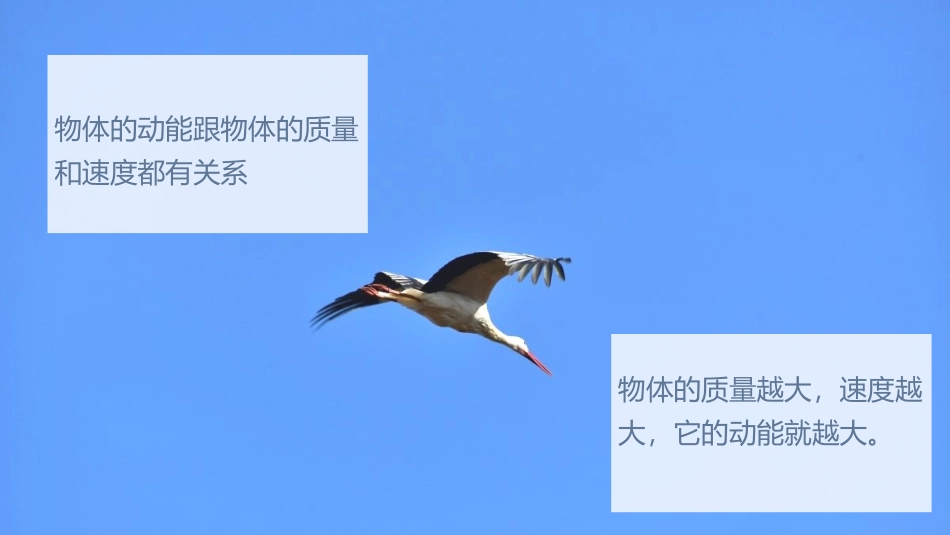 《动能和动能定理》机械能守恒定律PPT教学课件[人教版高中物理必修二]_第3页