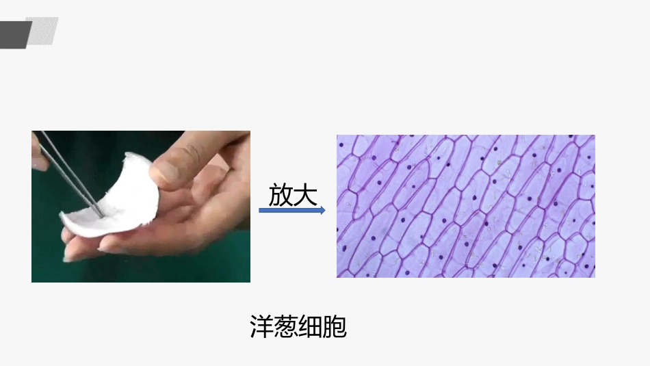 《化学真奇妙》步入化学殿堂PPT课件[鲁教版九年级化学上册]_第3页