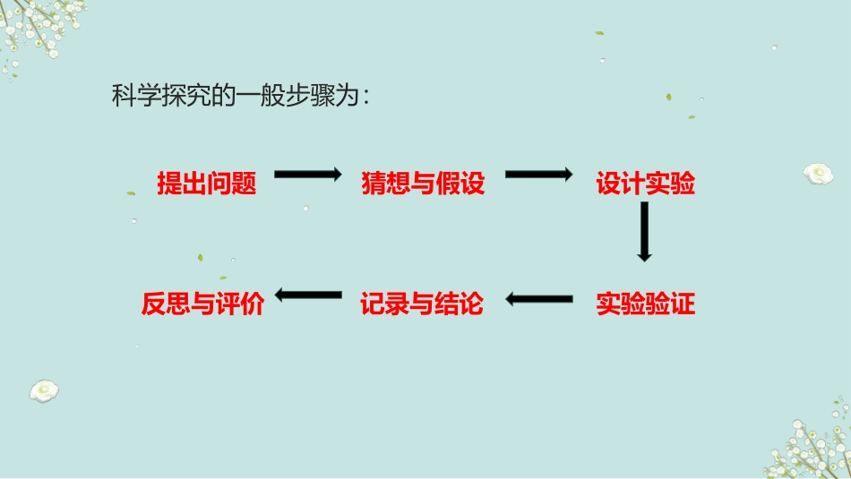 《体验化学探究》步入化学殿堂PPT课件[鲁教版九年级化学]_第2页