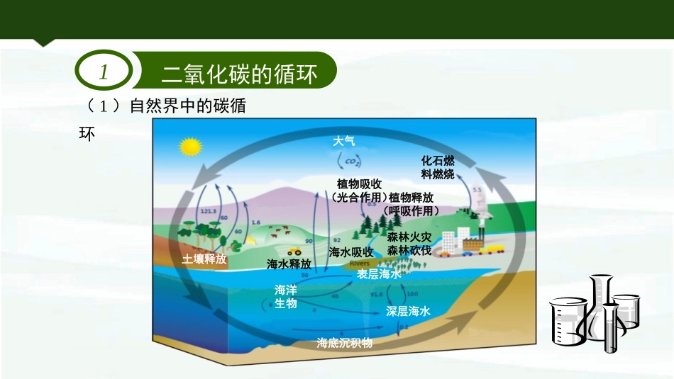 《大自然中的二氧化碳》燃烧与燃料PPT教学课件[鲁教版九年级化学]_第3页