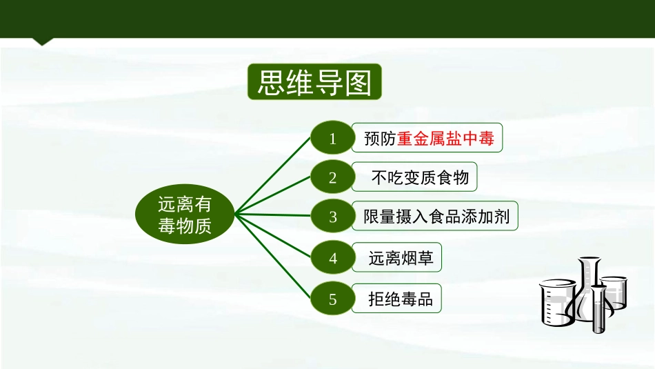 《远离有毒物质》化学与健康PPT课件[鲁教版九年级化学下册]_第3页
