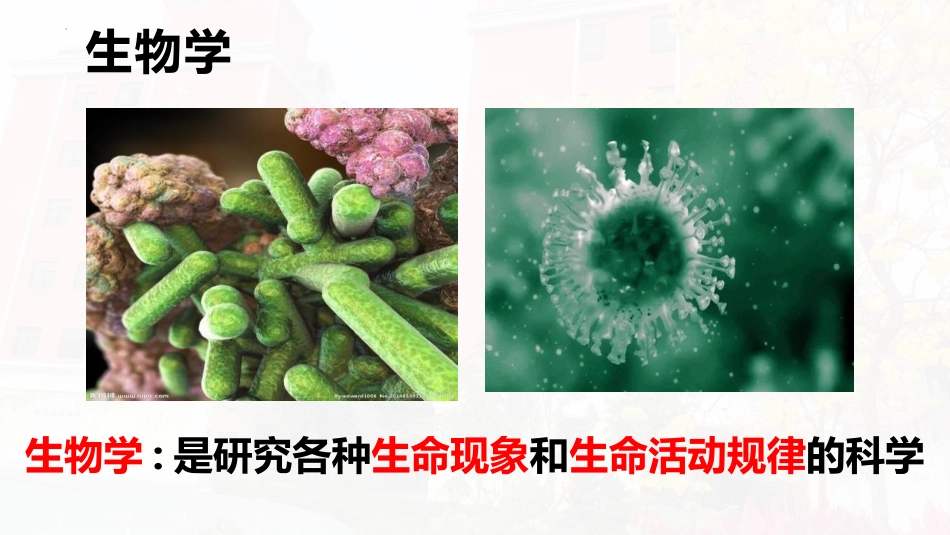《生物的特征》PPT免费课件[人教版七年级生物上册]_第2页