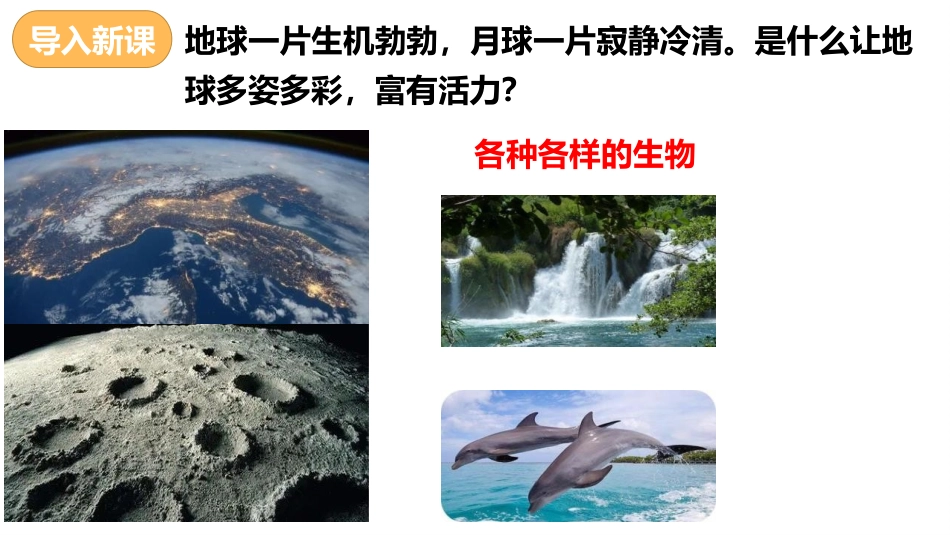 《生物的特征》PPT课件[人教版七年级生物上册]_第2页