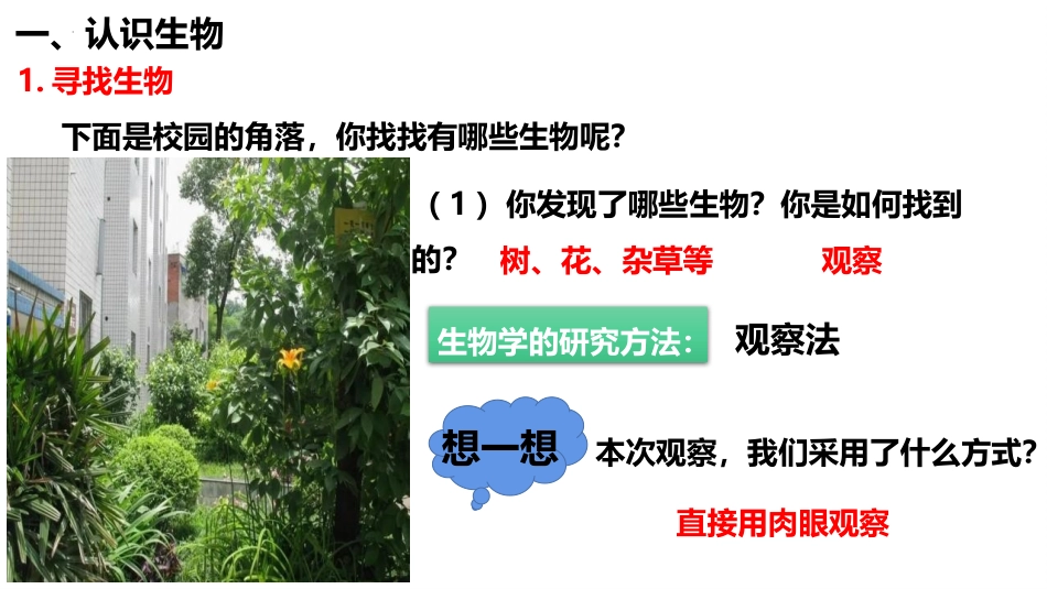 《生物的特征》PPT课件[人教版七年级生物上册]_第3页