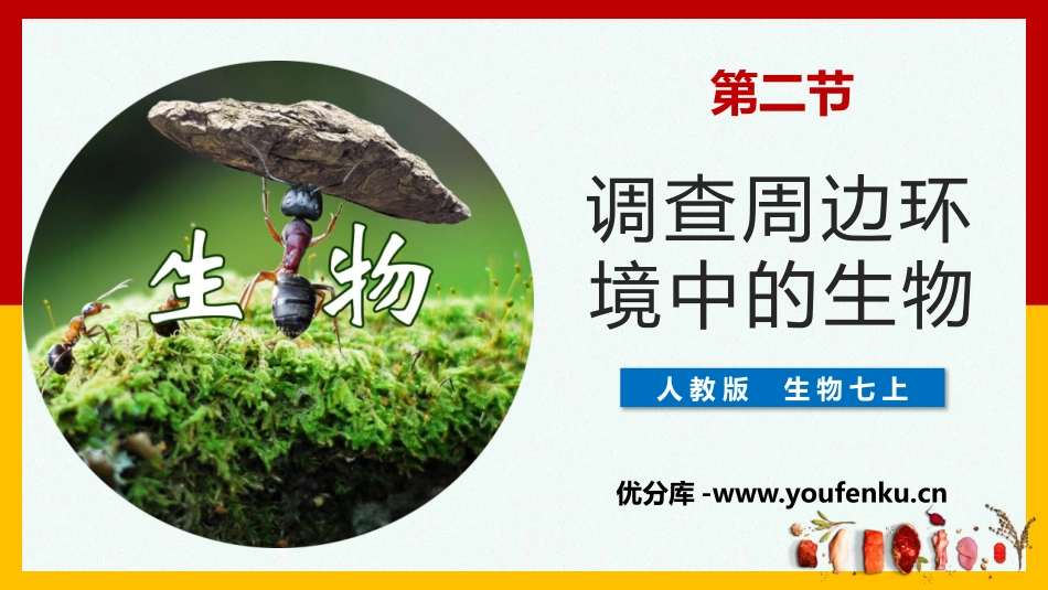 《调查周边环境中的生物》PPT课件[人教版七年级生物上册]_第1页