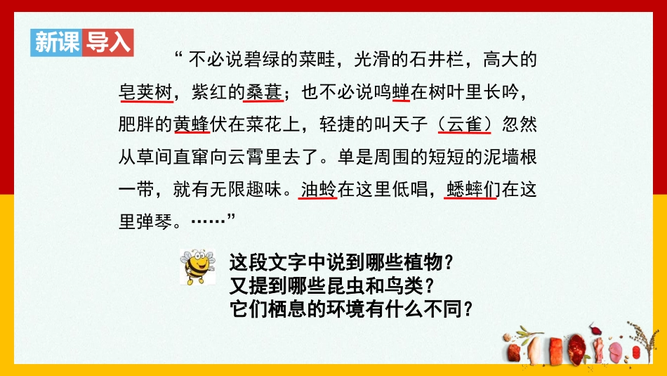 《调查周边环境中的生物》PPT课件[人教版七年级生物上册]_第3页