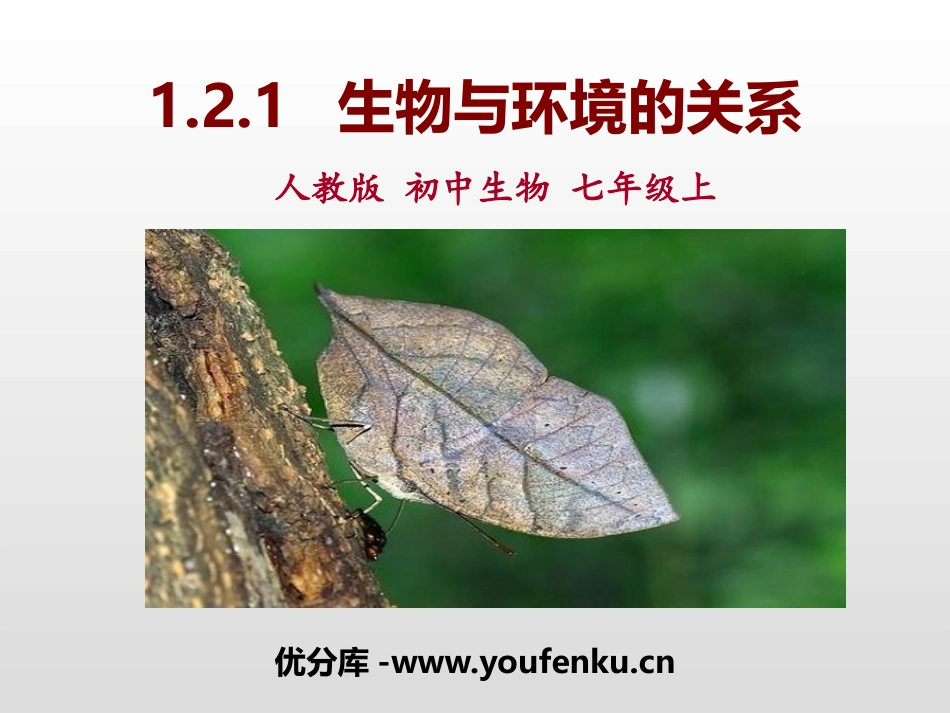 《生物与环境的关系》PPT免费课件[人教版七年级生物上册]_第1页