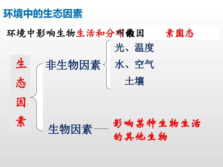 《生物与环境的关系》PPT免费课件[人教版七年级生物上册]_第3页