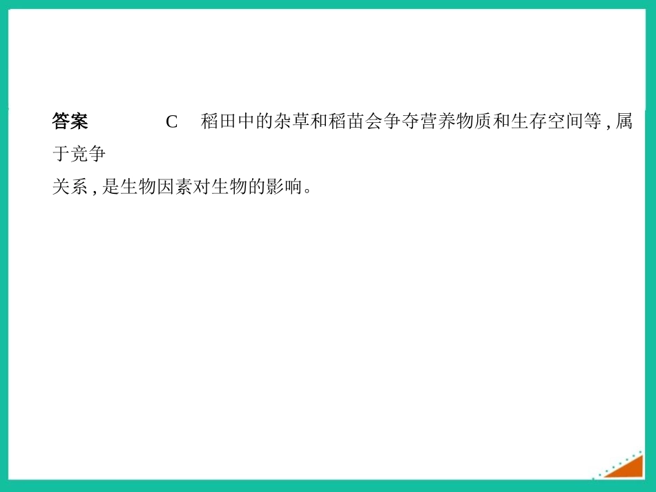 《生物与环境的关系》PPT教学课件(第2课时)[人教版七年级生物]_第3页