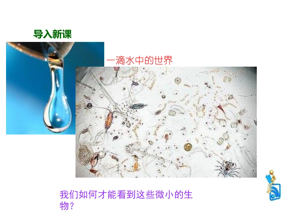 《练习使用显微镜》PPT优质课件[人教版七年级生物上册]_第2页