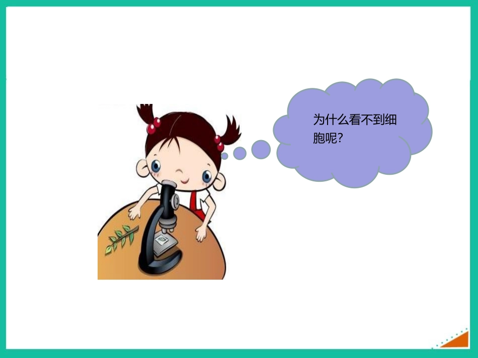 《植物细胞》PPT免费课件[人教版七年级生物上册]_第2页