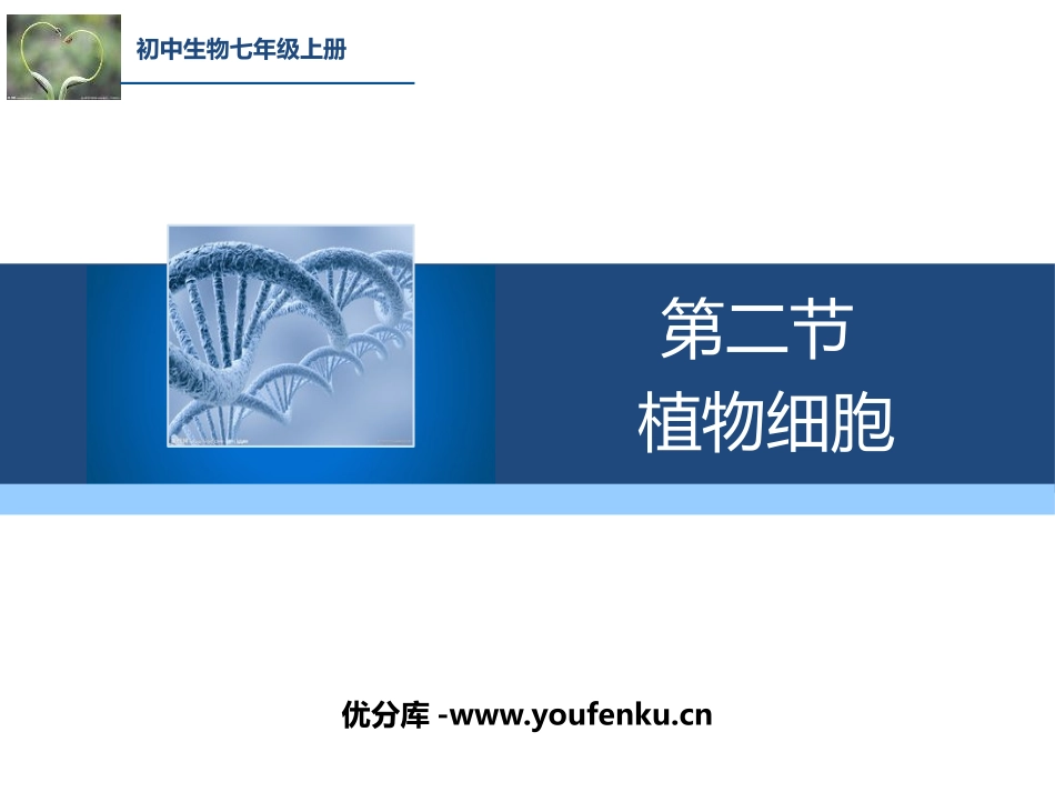 《植物细胞》PPT课件[人教版七年级生物上册]_第1页