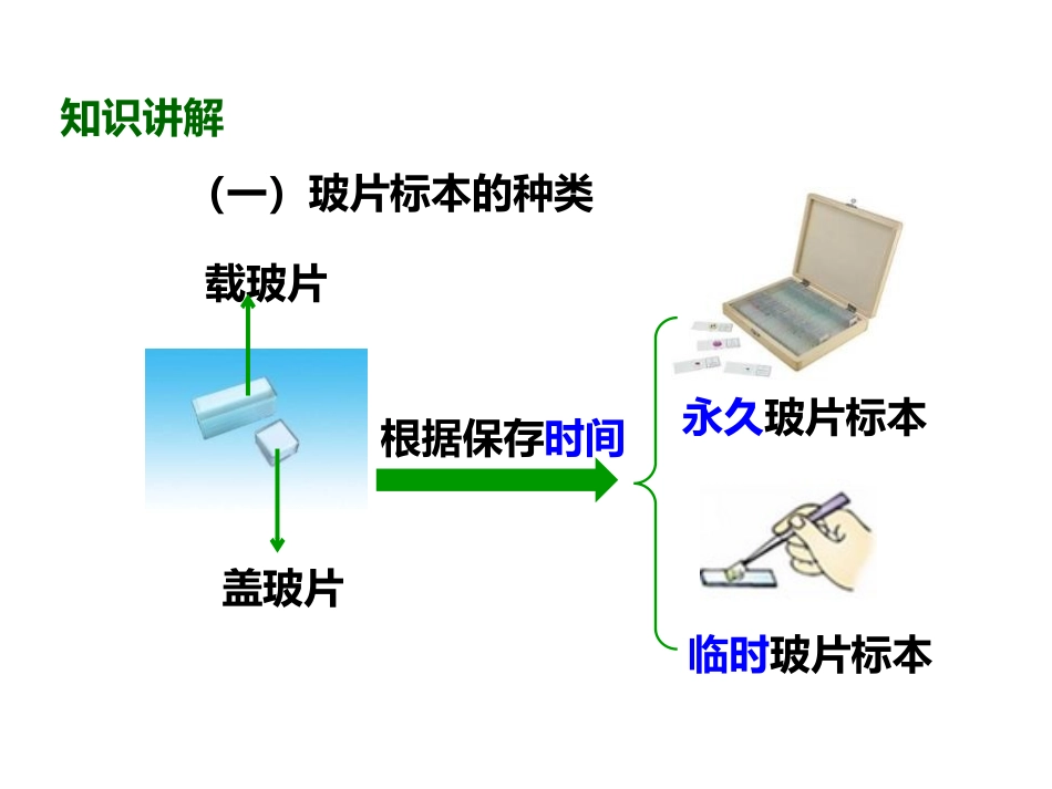 《植物细胞》PPT优秀课件[人教版七年级生物上册]_第3页