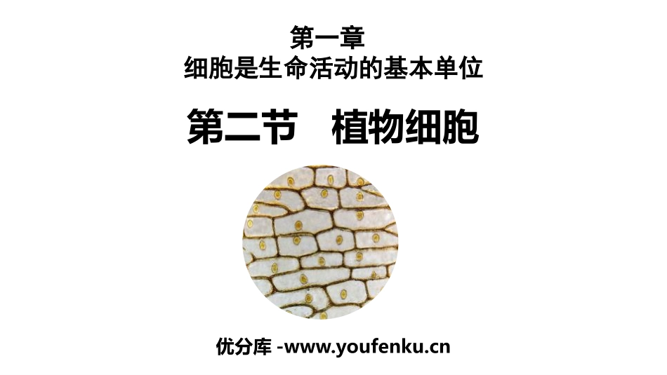 《植物细胞》PPT优质课件[人教版七年级生物上册]_第1页