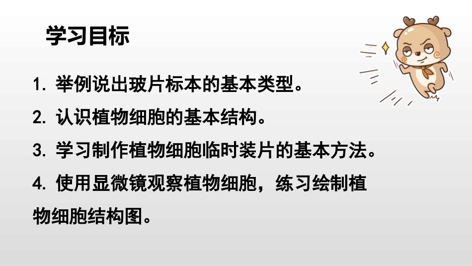 《植物细胞》PPT优质课件[人教版七年级生物上册]_第2页