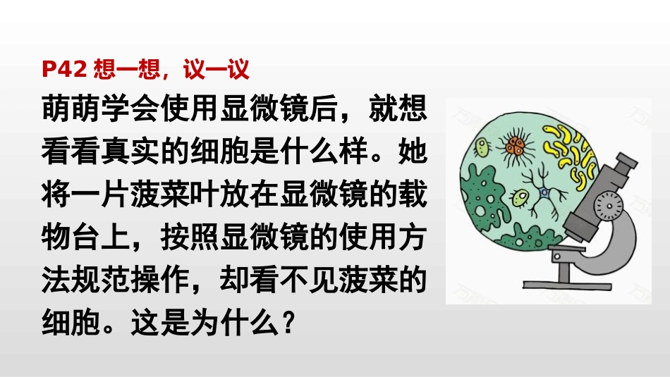 《植物细胞》PPT优质课件[人教版七年级生物上册]_第3页