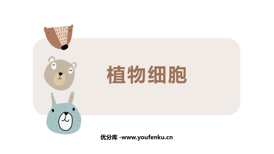 《植物细胞》PPT教学课件[人教版七年级生物上册]_第1页