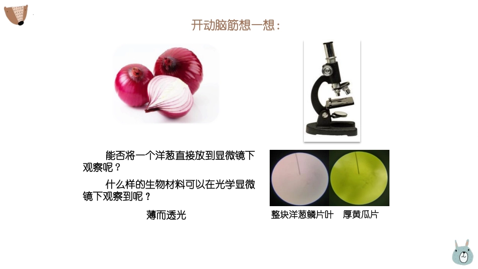 《植物细胞》PPT教学课件[人教版七年级生物上册]_第2页