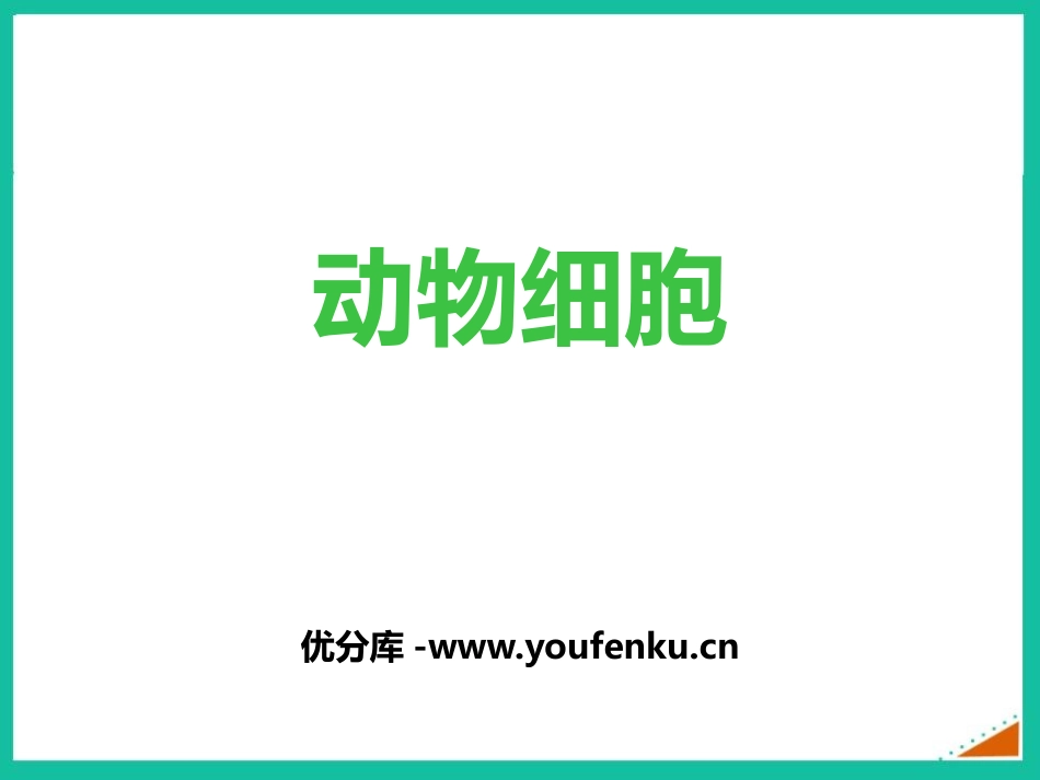 《动物细胞》PPT优秀课件[人教版七年级生物上册]_第1页