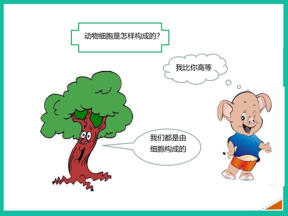 《动物细胞》PPT优秀课件[人教版七年级生物上册]_第2页