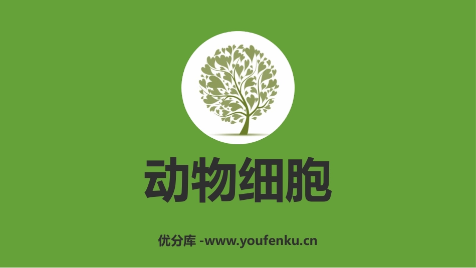 《动物细胞》PPT免费课件[人教版七年级生物上册]_第1页