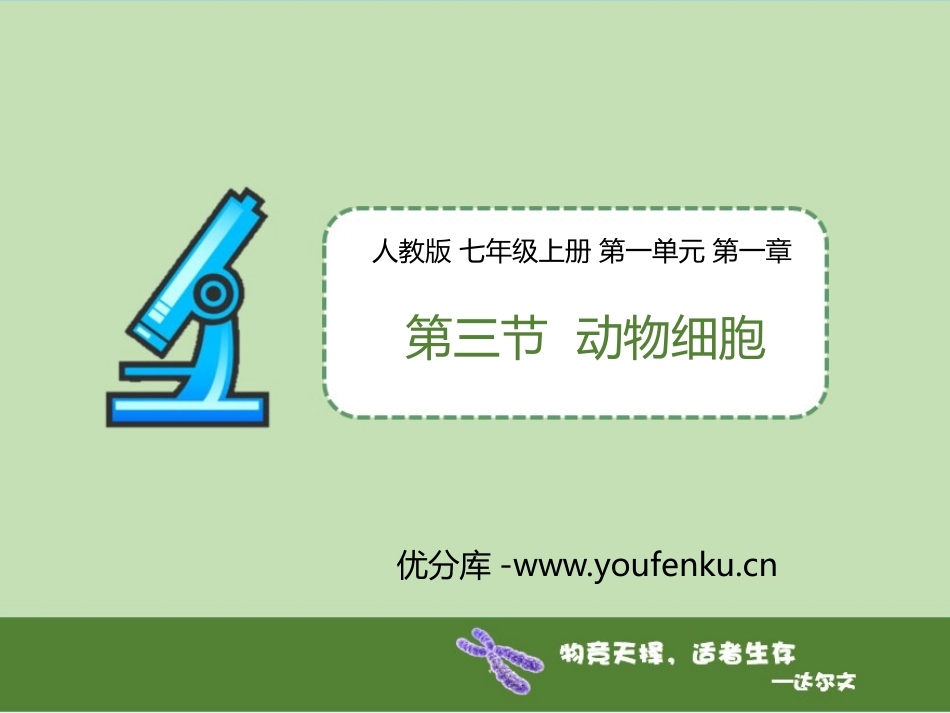 《动物细胞》PPT课件[人教版七年级生物上册]_第1页
