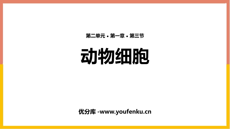 《动物细胞》PPT教学课件[人教版七年级生物上册]_第1页
