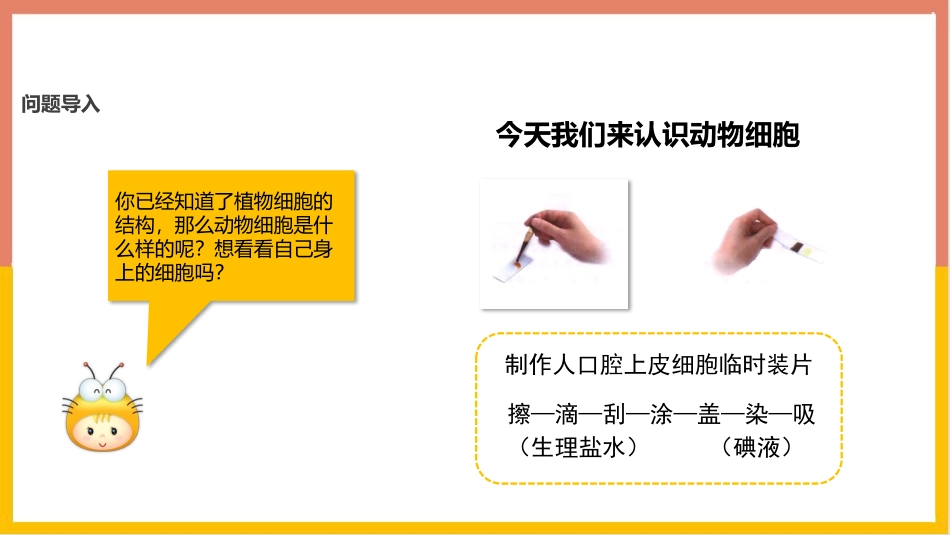 《动物细胞》PPT教学课件[人教版七年级生物上册]_第3页