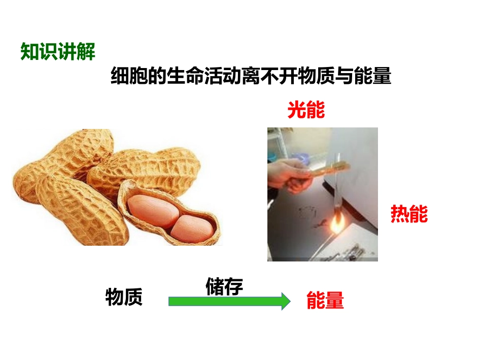 《细胞的生活》PPT免费课件[人教版七年级生物上册]_第2页