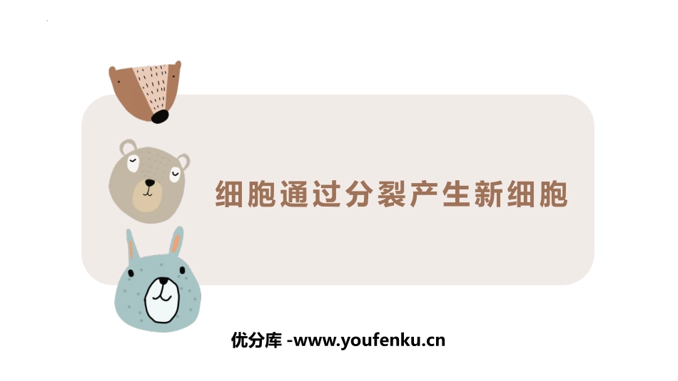 《细胞通过分裂产生新细胞》PPT课件[人教版七年级生物上册]_第1页