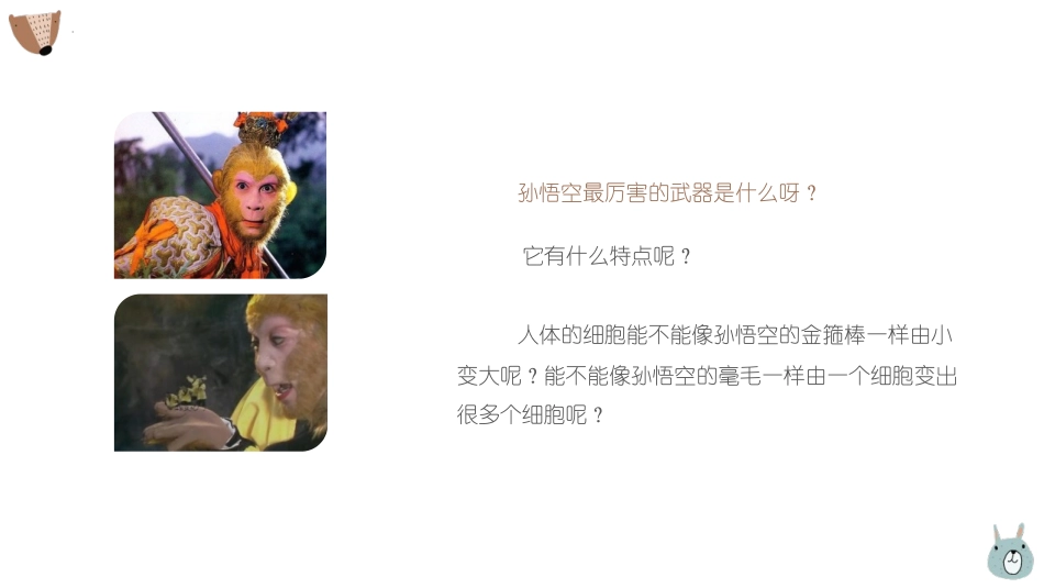 《细胞通过分裂产生新细胞》PPT课件[人教版七年级生物上册]_第2页