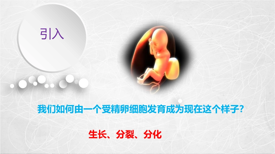 《细胞通过分裂产生新细胞》PPT优质课件[人教版七年级生物]_第2页