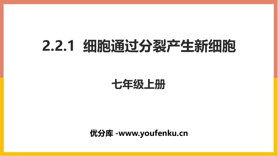 《细胞通过分裂产生新细胞》PPT教学课件[人教版七年级生物]_第1页