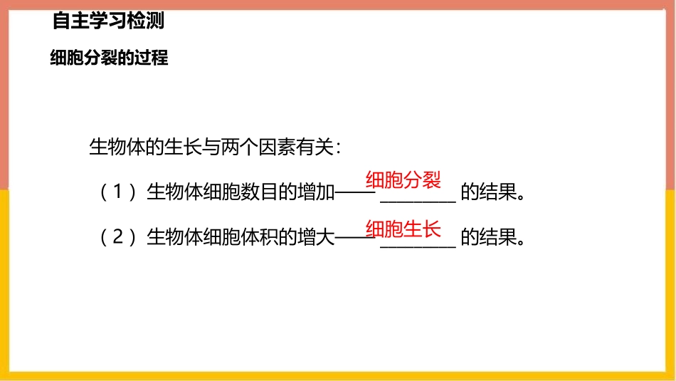 《细胞通过分裂产生新细胞》PPT教学课件[人教版七年级生物]_第3页