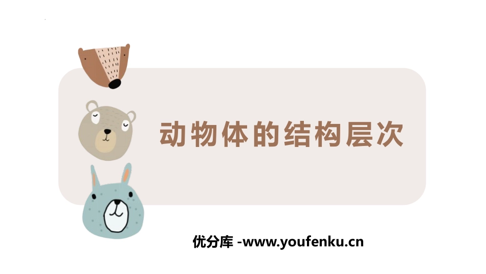 《动物体的结构层次》PPT课件[人教版七年级生物上册]_第1页
