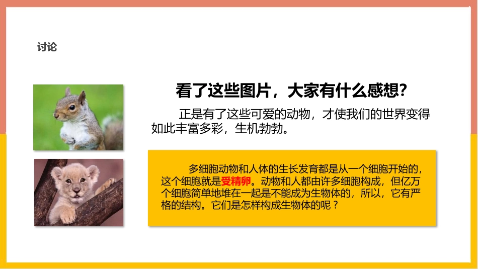 《动物体的结构层次》PPT优质课件[人教版七年级生物上册]_第3页