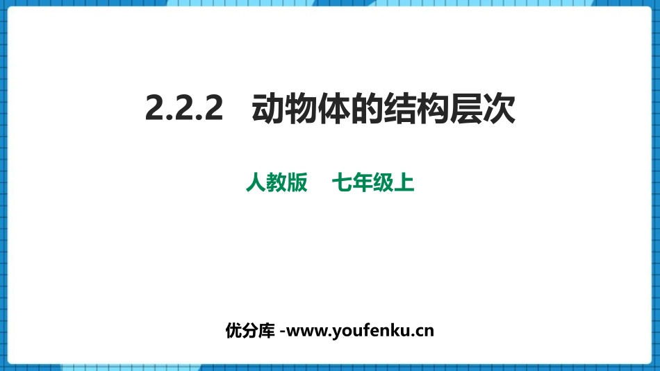 《动物体的结构层次》PPT优秀课件[人教版七年级生物上册]_第1页