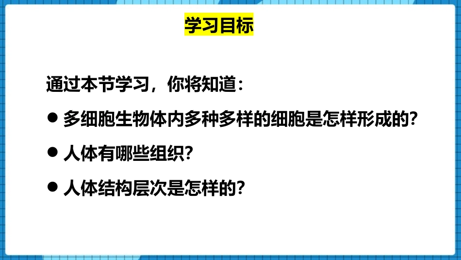 《动物体的结构层次》PPT优秀课件[人教版七年级生物上册]_第2页