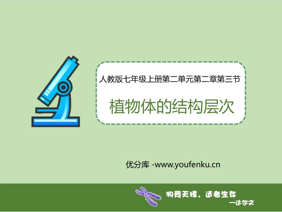 《植物体的结构层次》PPT优秀课件[人教版七年级生物上册]_第1页