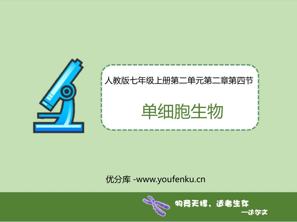 《单细胞生物》PPT课件[人教版七年级生物上册]_第1页