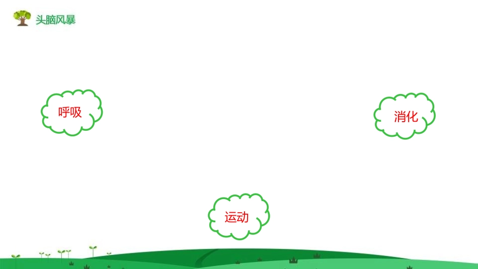 《单细胞生物》PPT教学课件[人教版七年级生物上册]_第3页