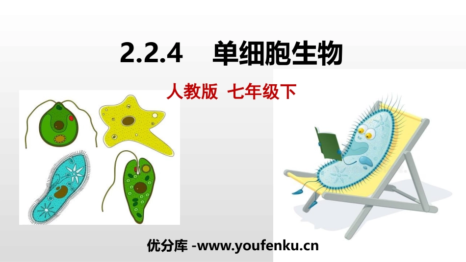 《单细胞生物》PPT免费课件[人教版七年级生物上册]_第1页