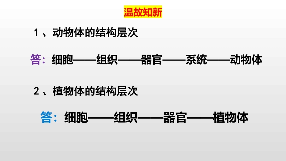 《单细胞生物》PPT免费课件[人教版七年级生物上册]_第2页