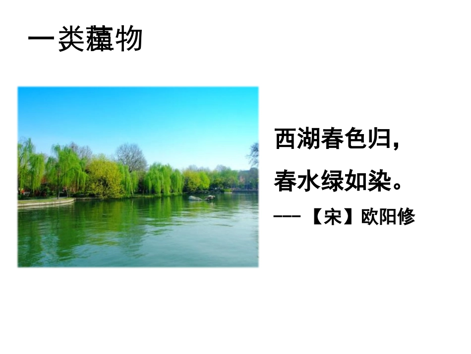 《藻类、苔藓和蕨类植物》PPT免费课件[人教版七年级生物]_第3页