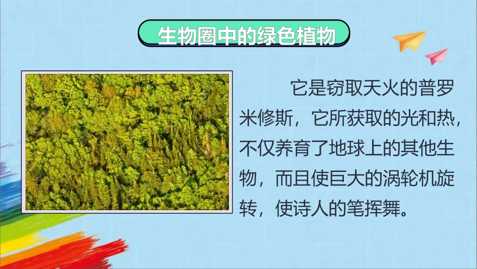 《藻类、苔藓和蕨类植物》PPT课件[人教版七年级生物上册]_第2页
