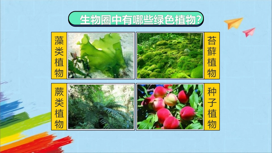 《藻类、苔藓和蕨类植物》PPT课件[人教版七年级生物上册]_第3页