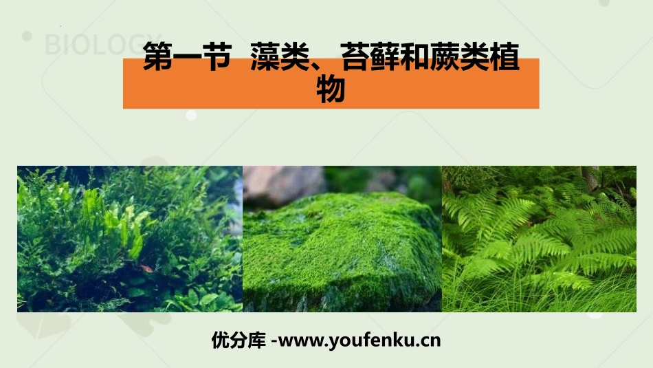 《藻类、苔藓和蕨类植物》PPT优质课件[人教版七年级生物]_第1页