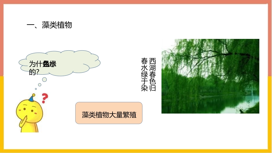 《藻类、苔藓和蕨类植物》PPT教学课件[人教版七年级生物]_第3页